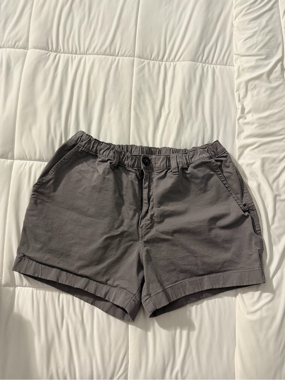Men’s Chubbies “The Silver Linings” 4in Shorts size M